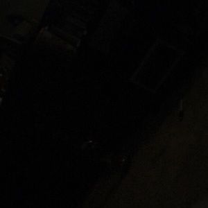 Meet your Posher, Autumn